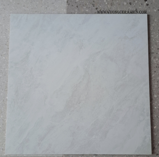 GẠCH MARBLE 80x80 8664