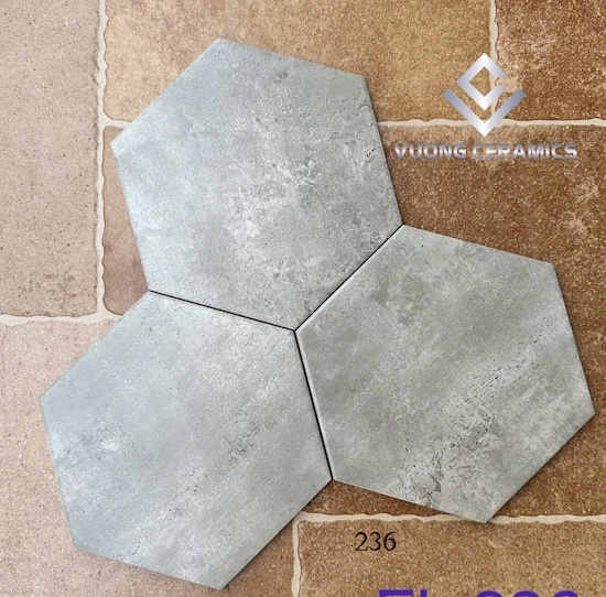 GẠCH LỤC GIÁC 20x23 236