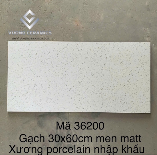 GẠCH TERRAZZO 30x60 36200