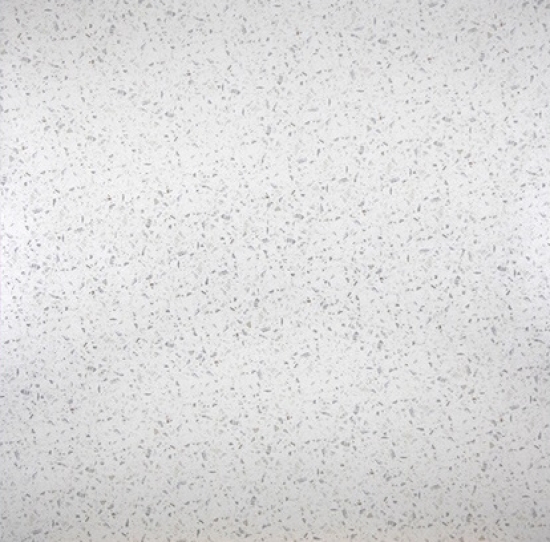 GẠCH TERRAZZO 6602