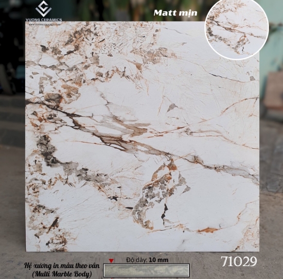 GẠCH MỜ MỊN 80x80 71029