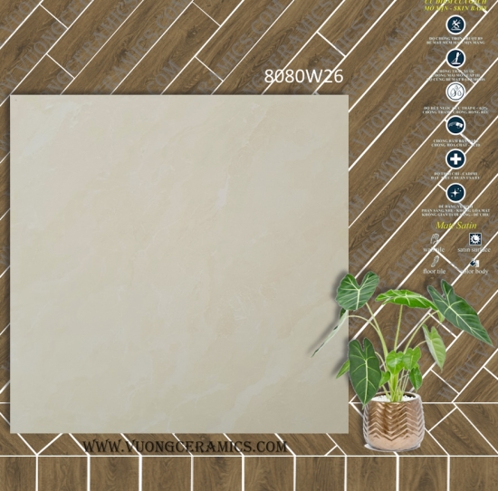 GẠCH VÂN ĐÁ 80x80 W26