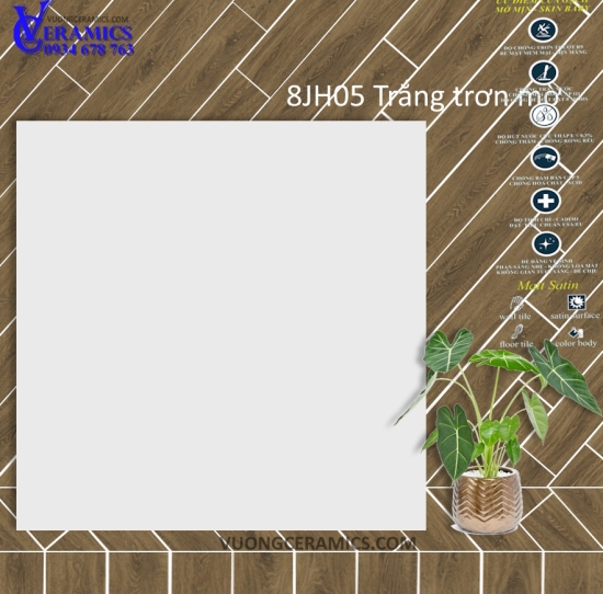 GẠCH 80x80 JH00  | TRẮNG TRƠN MỜ 
