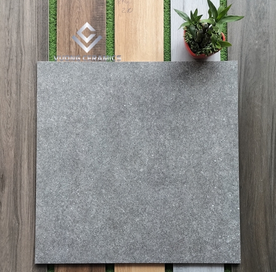 GẠCH 60x60 AZ5-GM6602