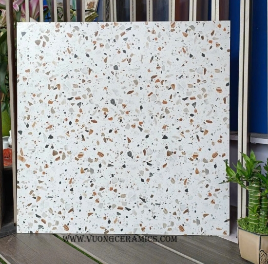 GẠCH TERRAZZO BC6614H