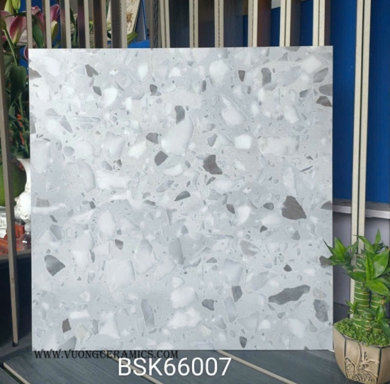 GẠCH TERRAZZO BSK 66007