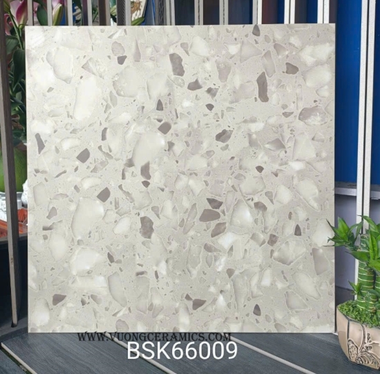 GẠCH TERRAZZO BSK 66009