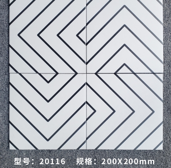 F20116