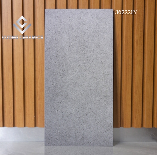 GẠCH TERRAZZO 36221Y