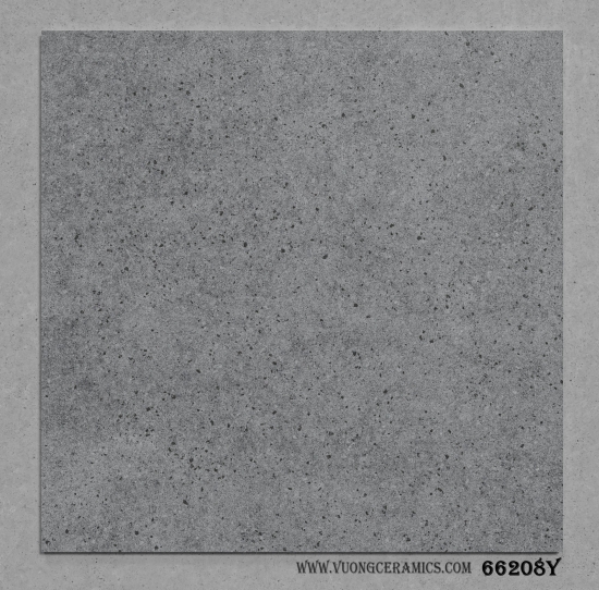 GẠCH TERRAZZO 66208Y