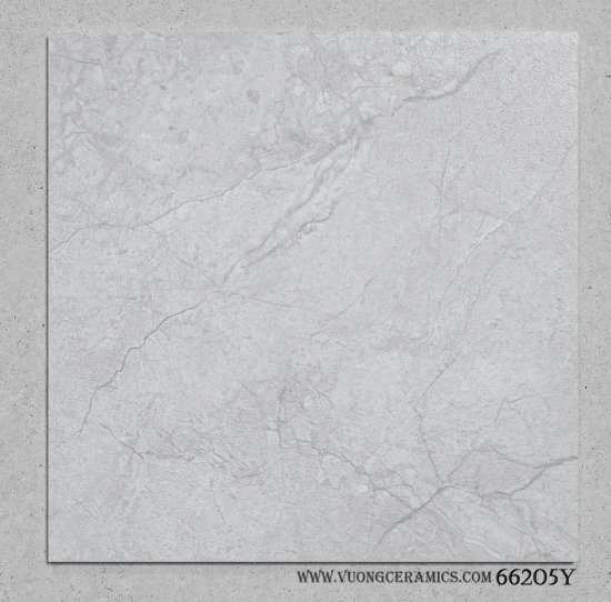 GẠCH 60x60 66205Y