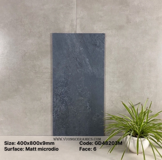 GẠCH 40x80 GD48203M