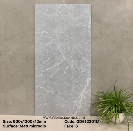 GẠCH 60x120 GD612201M | ĐẠI LÝ CẤP 1