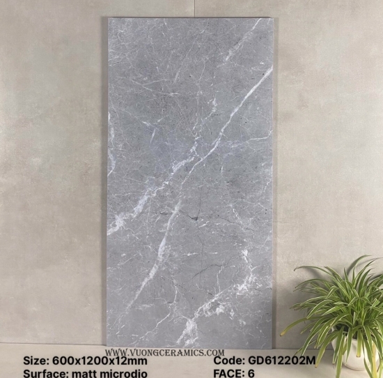 GẠCH 60x120 GD612202M | ĐẠI LÝ CẤP 1