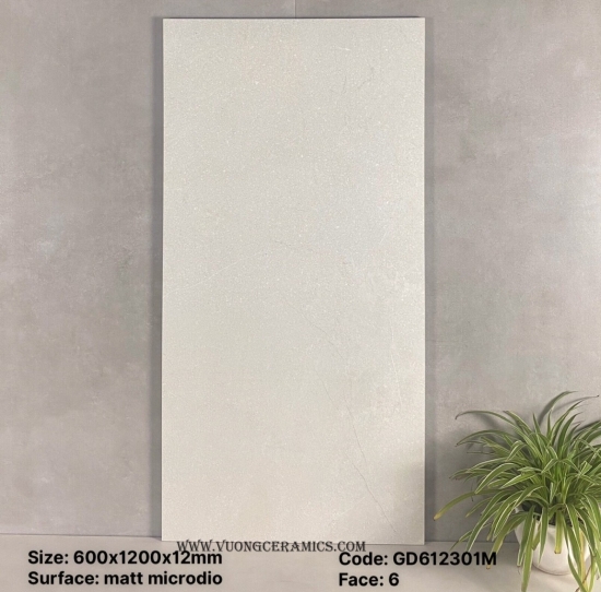 GẠCH 60x120 GD612301M | ĐẠI LÝ CẤP 1