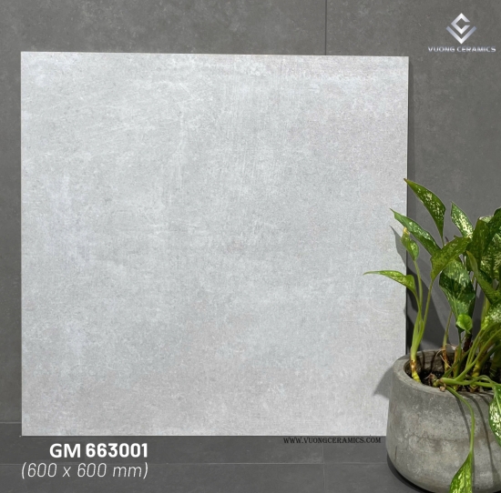GẠCH VIGLACERA VIG-GM663001 | ĐẠI LÝ CẤP 1
