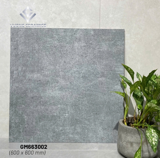 GẠCH VIGLACERA VIG-GM663002 | ĐẠI LÝ CẤP 1