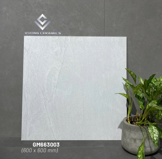 GẠCH VIGLACERA GM663003 | ĐẠI LÝ CẤP 1