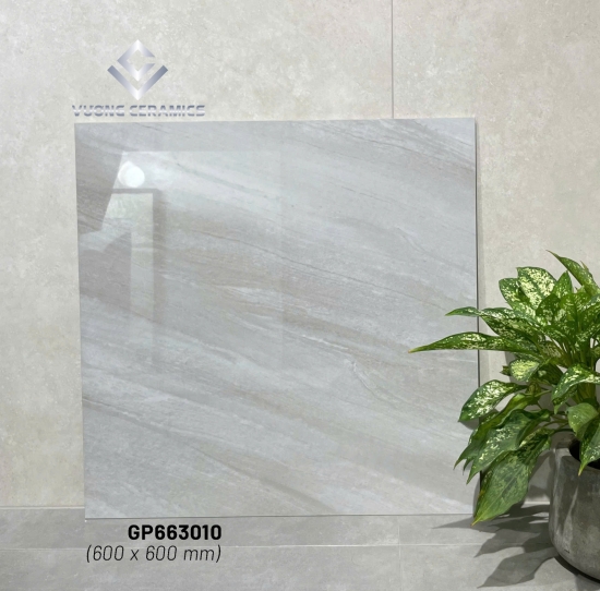 GẠCH 60x60 GP663010