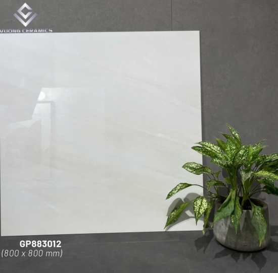 GẠCH VIGLACERA VIG-GP 883012 | ĐẠI LÝ CẤP 1