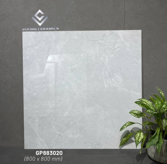 GẠCH VIGLACERA VIG-GP 883020 | ĐẠI LÝ CẤP 1