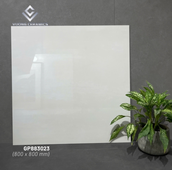 GẠCH VIGLACERA VIG-GP 883023 | ĐẠI LÝ CẤP 1