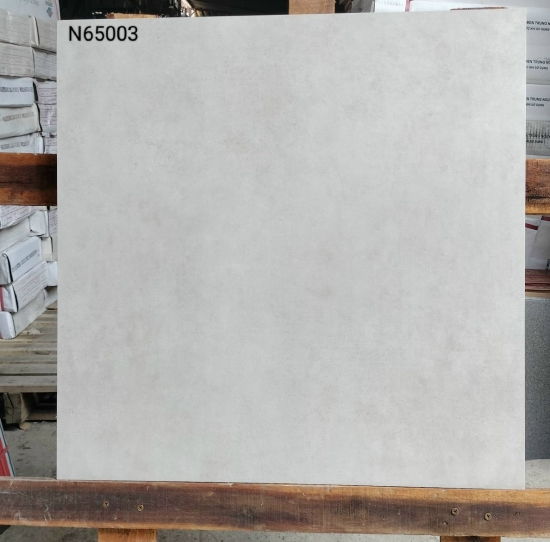 GẠCH GIẢ BÊ TÔNG 65003H