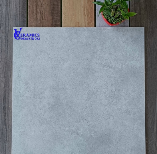 GẠCH GIẢ BÊ TÔNG 662007