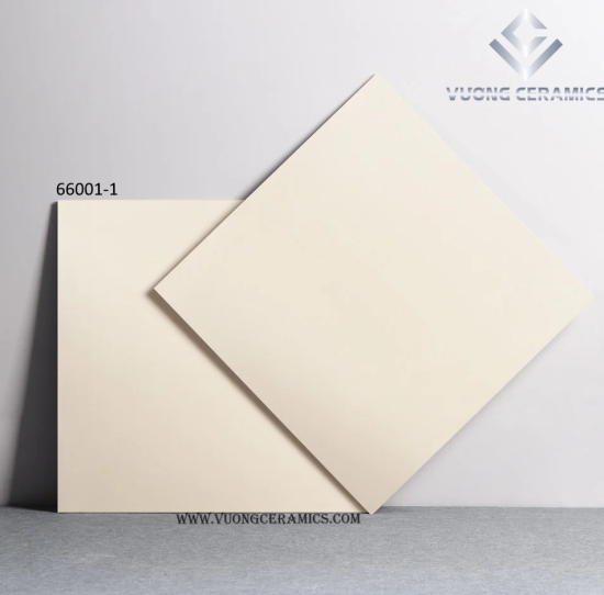 GẠCH 60x60 66001-1 | GẠCH NHẬP KHẨU TRUNG QUỐC 