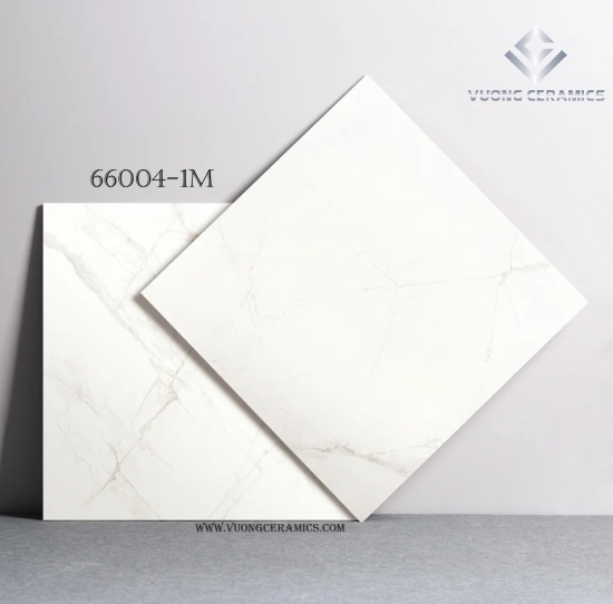GẠCH 60x60 66004-1M | GẠCH NHẬP KHẨU TRUNG QUỐC