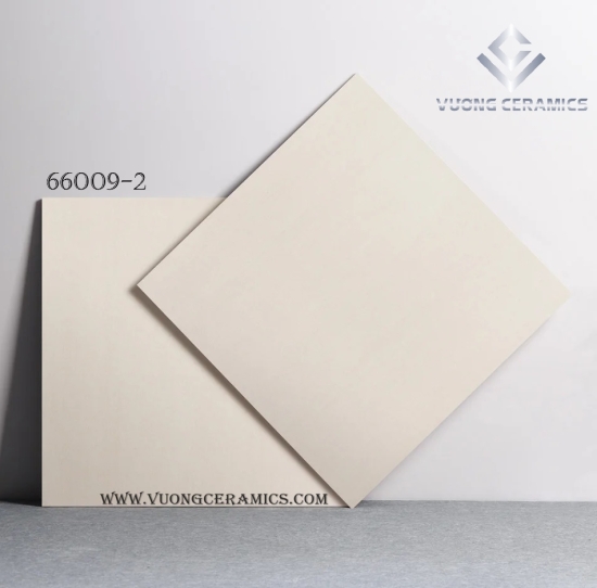 GẠCH 60X60 66009-2 | GẠCH NHẬP KHÂU TRUNG QUỐC 