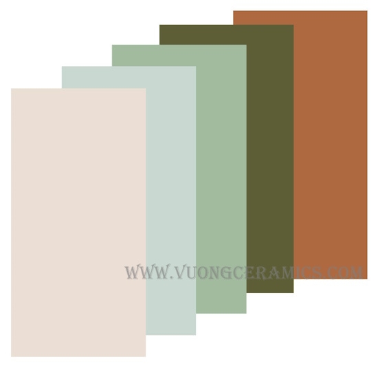 GẠCH ĐƠN MÀU 30x60 