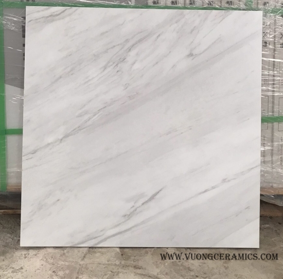 GẠCH 60x60 T60901H