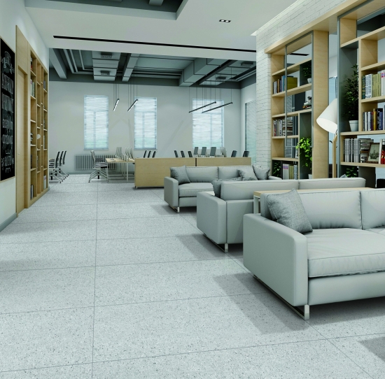 GẠCH TERRAZZO 61206P