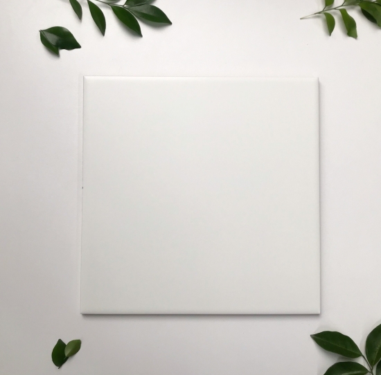 GẠCH THẺ 20x20  MỜ PHẲNG MÀU TRẮNG 