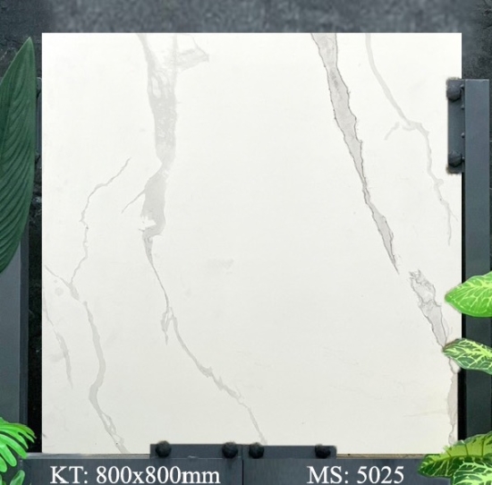 GẠCH Á MỸ 5025