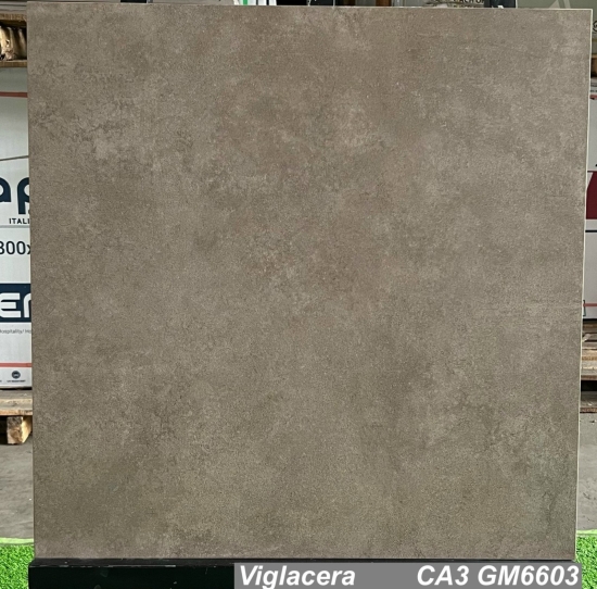 GẠCH VIGLACERA CA3-GM6603