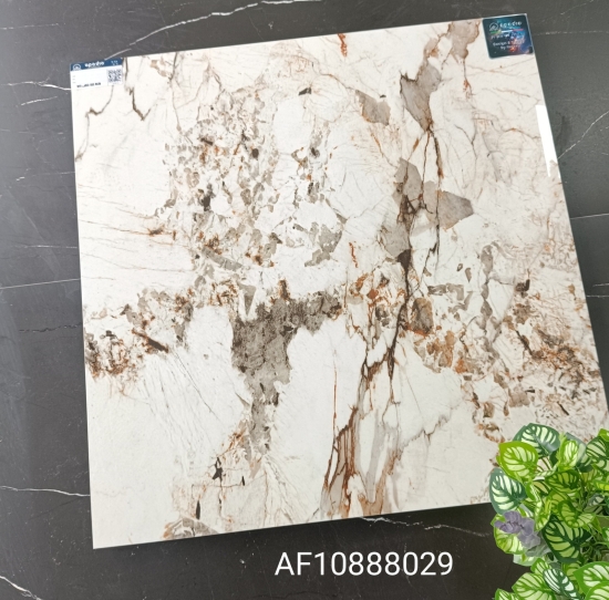 GẠCH MARBLE AF10888029