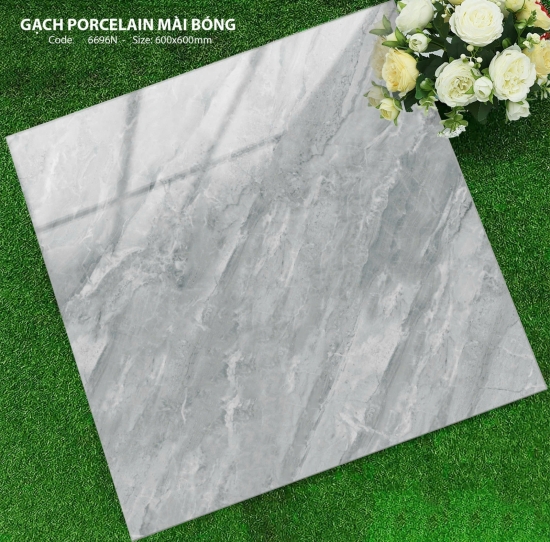 GẠCH 60x60 6696