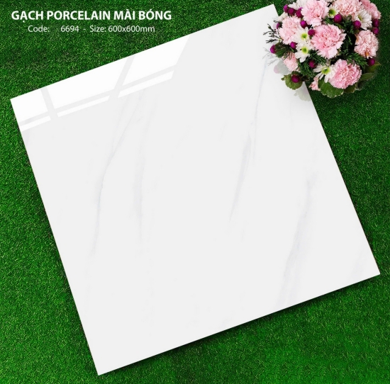 GẠCH 60X60 6694